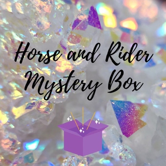 Handmade Other - Horse and rider mystery box / horse tack